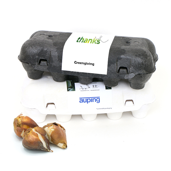 Boîte à œufs avec bulbes de fleurs